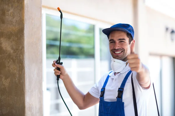 Cerritos Wasp Removal
