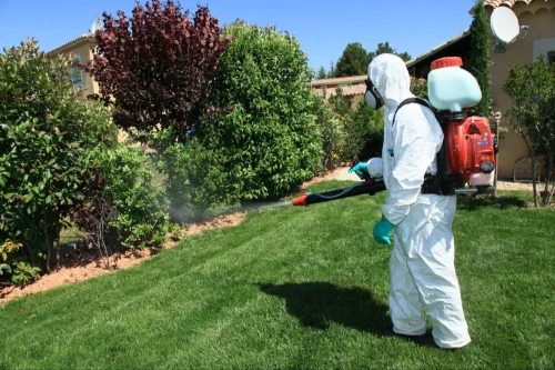 Cerritos Mosquito Control