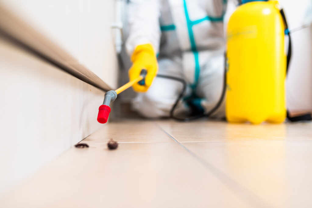 Cerritos Cockroach Experts