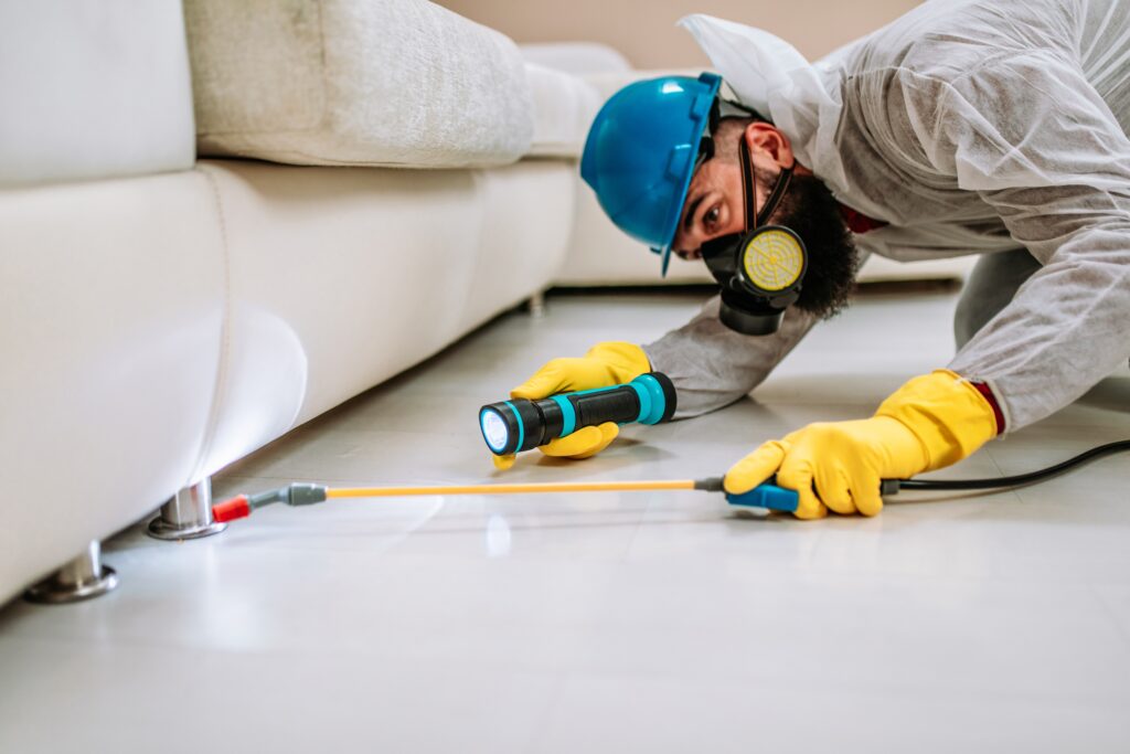 Cerritos Termite Control